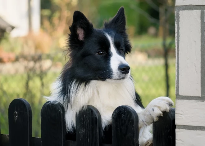 Pilnmēness šonedēļ būs ļoti jūtams - horoskops visām zodiaka zīmēm no 27.04. līdz 3.05. 