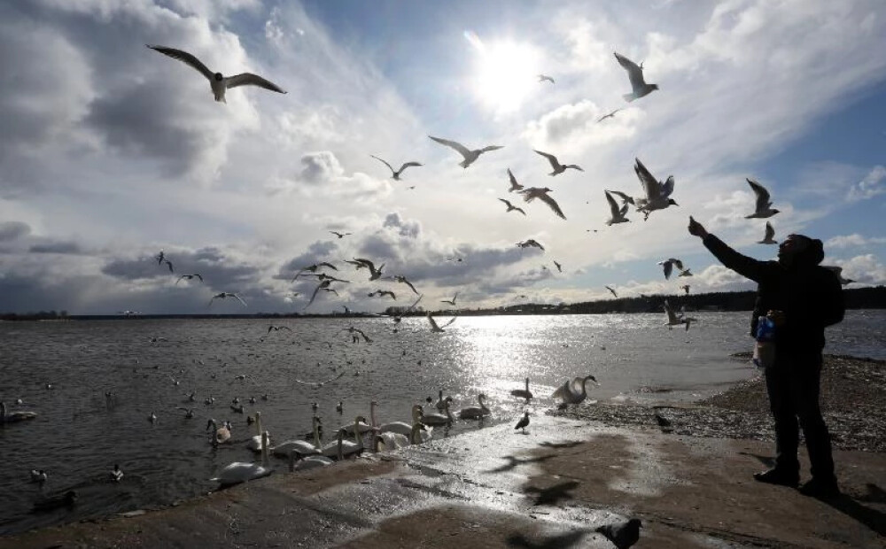 Jaunā darba nedēļa Latvijā sāksies ar spēcīgu vēju; vietām gaidāms sniegs un krusa