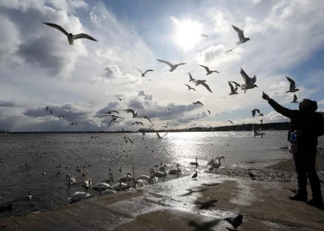 Jaunā darba nedēļa Latvijā sāksies ar spēcīgu vēju; vietām gaidāms sniegs un krusa 