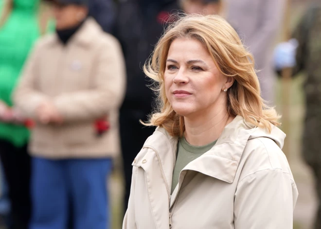 Премьер-министр Эвика Силиня за год увеличила доходы и почти утроила сбережения