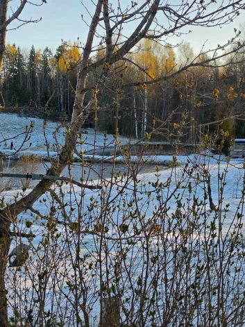 27. aprīļa sniegotais rīts Madonā.