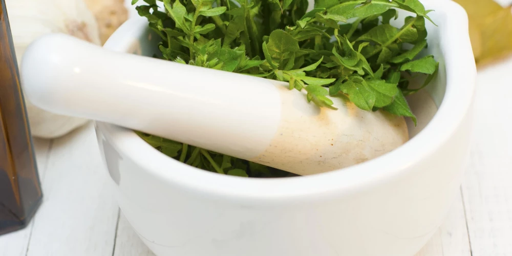 Dikti veselīgs un dikti viegli pagatavojams gardais pieneņu lapu pesto. 