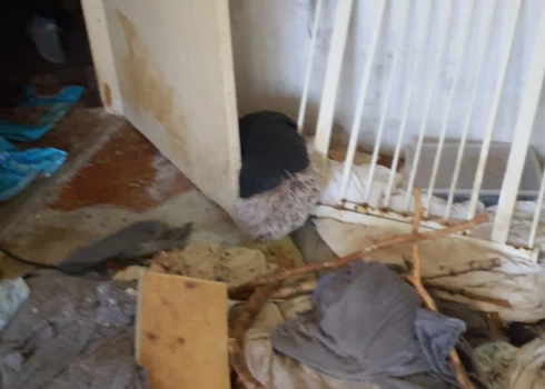 Valsts policijas foto