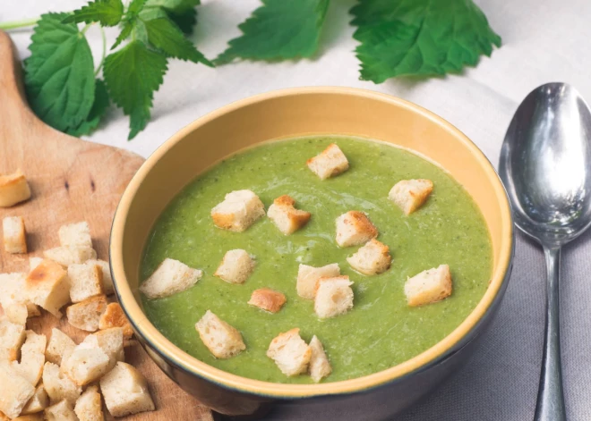 Pusdienās vitamīnus, lūdzu, jeb Nātru un lakšu krēmzupa. Receptes