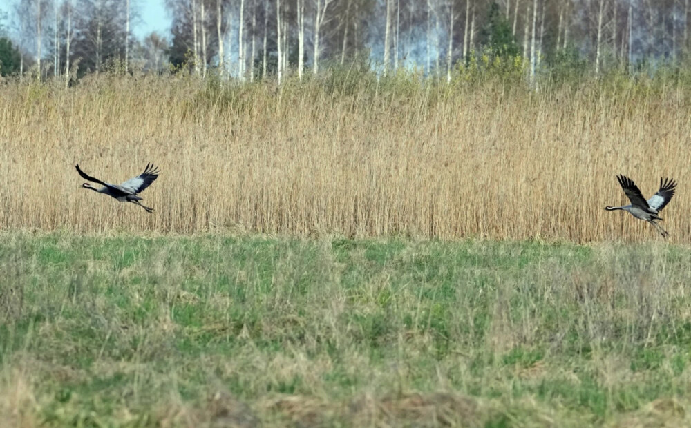 Otrdien turpinās pūst auksts ziemelis