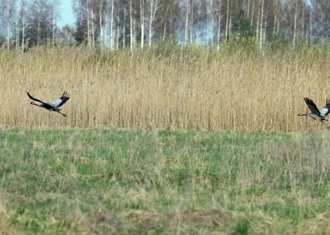 Otrdien turpinās pūst auksts ziemelis