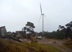 Во вторник продолжает дуть холодный северный ветер