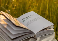 Mākslīgais intelekts grāmatu maketēšanā: “Will Grow Up” dara ātrāk, gudrāk un radošāk