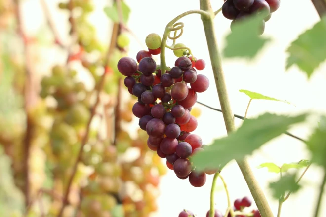 Foto: no privātā arhīva