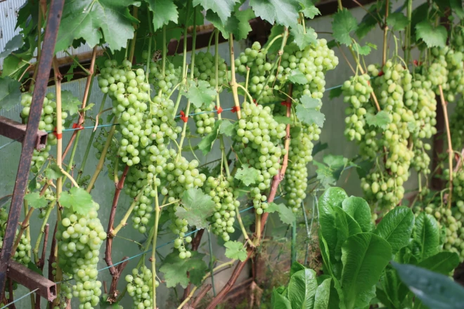 Foto: no privātā arhīva