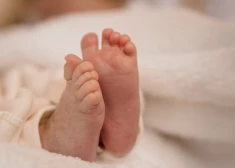 Dzimstība Vācijā noslīdējusi līdz zemākajam līmenim kopš Otrā pasaules kara