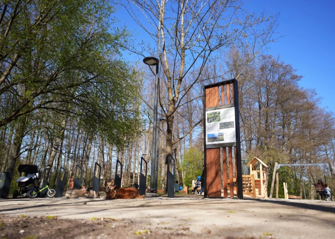 Это давно ожидаемый проект благоустройства для жителей Пардаугавы, который улучшит возможности отдыха в районе Биерини. 