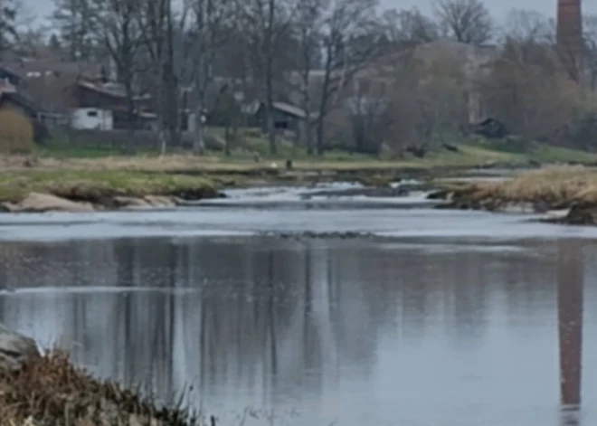Vai Ogres HES zivju nārsta laikā samazinājusi ūdens līmeni, apdraudot zivis? Situāciju Jauns.lv skaidro Valsts vides dienests