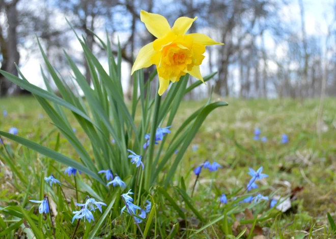  Atrasta Rīgā pēc tirdzniecības centra apmeklējuma pazudusī meitene