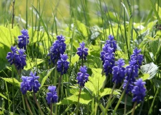 Температура воздуха в среду сохранится ниже +10 градусов