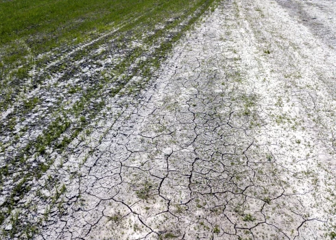 С сентября по март Латвия получила почти рекордно мало осадков.