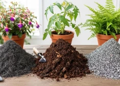 Ищущим качество и удобство: решения для сада в одном месте