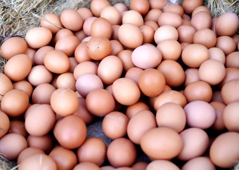 Eksperti vērtējuši, vai sprostu aizliegums sadārdzinās olas.