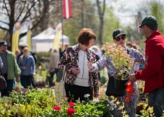 Siguldā notiks lielākā Stādu parāde Baltijā