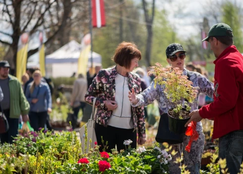 Siguldā pulcēsies Latvijas stādaudzētāji.