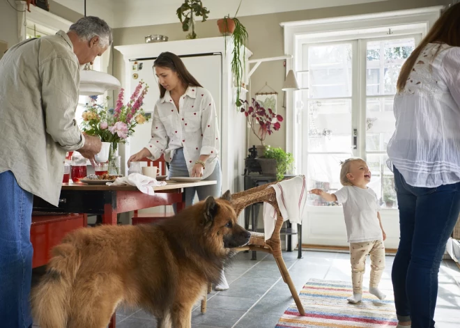 День матери можно отметить без ресторана: идеи, которые превратят обычный дом в праздник