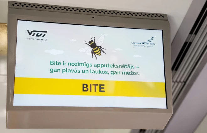 Пчела - это важно!