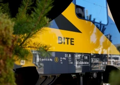 Сесть в "Пчелу" и уехать в лес: Vivi начала давать поездам природные имена