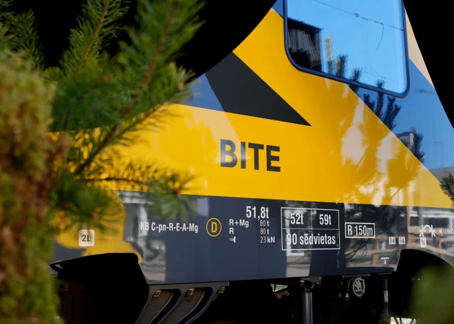 Сесть в "Пчелу" и уехать в лес: Vivi начала давать поездам природные имена