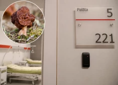 В больницу доставлен первый в этом году грибник с тяжелым отравлением