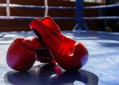 Удар ниже пояса: еще одна спортивная организация разрешила россиянам и белорусам участвовать в международных соревнованиях