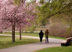 Четыре майских выходных могут стать самыми теплыми днями за 7 месяцев, но потом снова похолодает