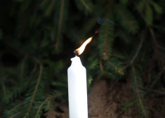 "Viņa bija trausla un maiga dvēsele" - Mārupes Valsts ģimnāzija publisko atvadu vārdus Sofijai Sārai Kundeckai