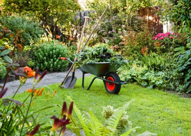 Садовый сезон начинается: что нужно сделать и как сэкономить на садовых работах и инвентаре