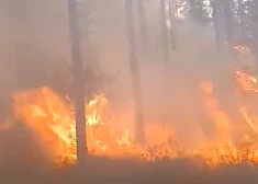 VIDEO: pēc divu dienu ilgas cīņas ugunsdzēsēji likvidējuši meža ugunsgrēku Ances purvos