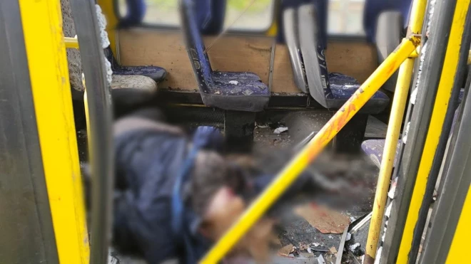 Krievijas triecienā mikroautobusam nogalināti divi cilvēki.