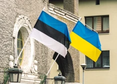 Эксперт выдвинул три условия к украинцам, при соблюдении которых они могут остаться в Эстонии