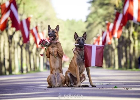 Foto: Dace Teibe/Valsts policija