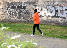 Rīgas apkaimēs sāksies bezmaksas sporta nodarbības