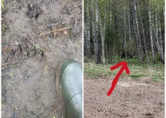 Kādu ģimeni Līvānu novadā apciemojis lācis. "Ceram viņu otrreiz vairs neredzēt!" FOTO
