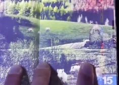 "Sarežģīti un apburoši!" soctīklos izskan spēcīgi vārdi par Latvijas pasi. VIDEO