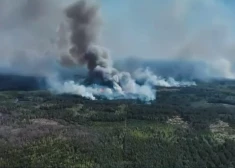 VIDEO: Ukrainas-Krievijas pierobežā artilērijas apšaudes dēļ deg 2400 hektāri meža 