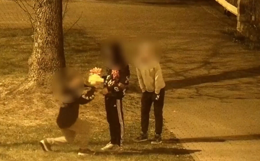 Liepājā nozog maizes mašīnu, Daugavpilī likvidē tulpes, Jelgavā cīnās ar garāžām: kriminālā province