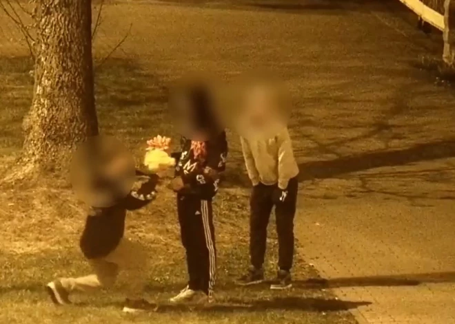 Liepājā nozog maizes mašīnu, Daugavpilī likvidē tulpes, Jelgavā cīnās ar garāžām: kriminālā province