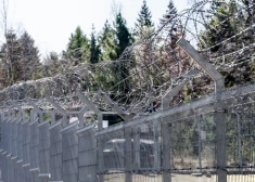 Brīvdienās novērsti 248 nelegālo migrantu mēģinājumi iekļūt Latvijā