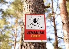 Vai ērces šogad būs vairāk nekā parasti? Biologs izskaidro šīs sezonas anomālijas un sniedz vērtīgu padomu
