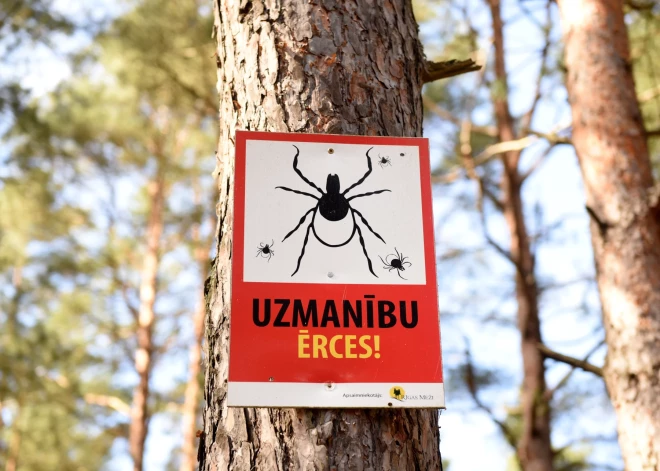 Vai ērces šogad būs vairāk nekā parasti? Biologs izskaidro šīs sezonas anomālijas un sniedz vērtīgu padomu