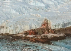 Кровавый водопад в Антарктиде: почему из ледника течет вода цвета крови и что скрывается подо льдом