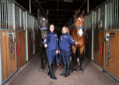FOTO: ciemojamies Valsts policijas zirgu stallī, kur mīt vecākais policijas zirgs Eiropā! Šeit saimnieko policistes – zirgu vārdotājas