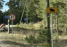 Krupju glābšanas kampaņa nes augļus: izdevies izglābt daudzus "mazos prinčus"