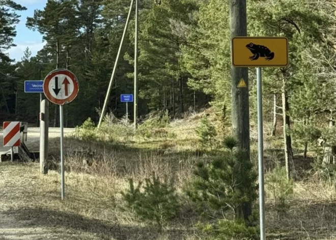 Krupju glābšanas kampaņa nes augļus: izdevies izglābt daudzus "mazos prinčus"
